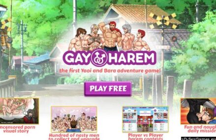 Choisir des jeux d&rsquo;aventure porn gay pour plus qu&rsquo;une galerie de scènes